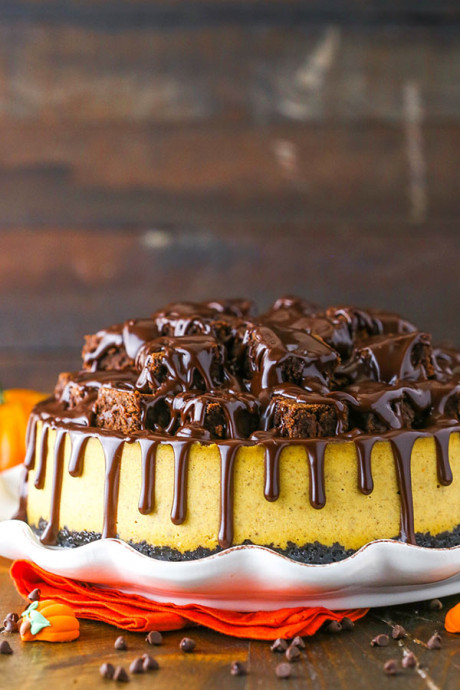 Chocolate Pumpkin Cheesecake