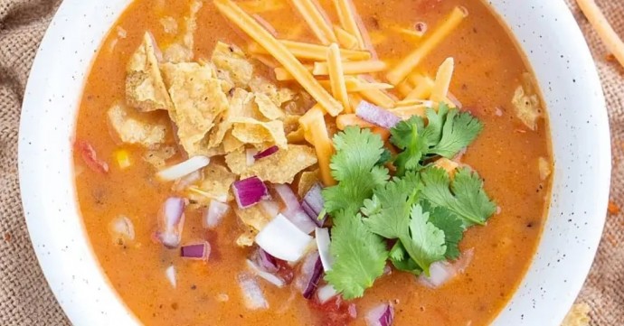 Vegan Tortilla Soup