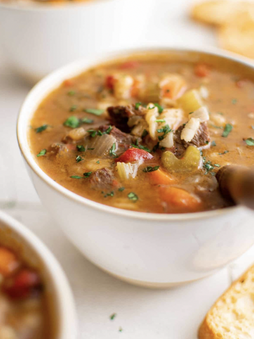 Instant Pot Vegetable Beef Barley Soup