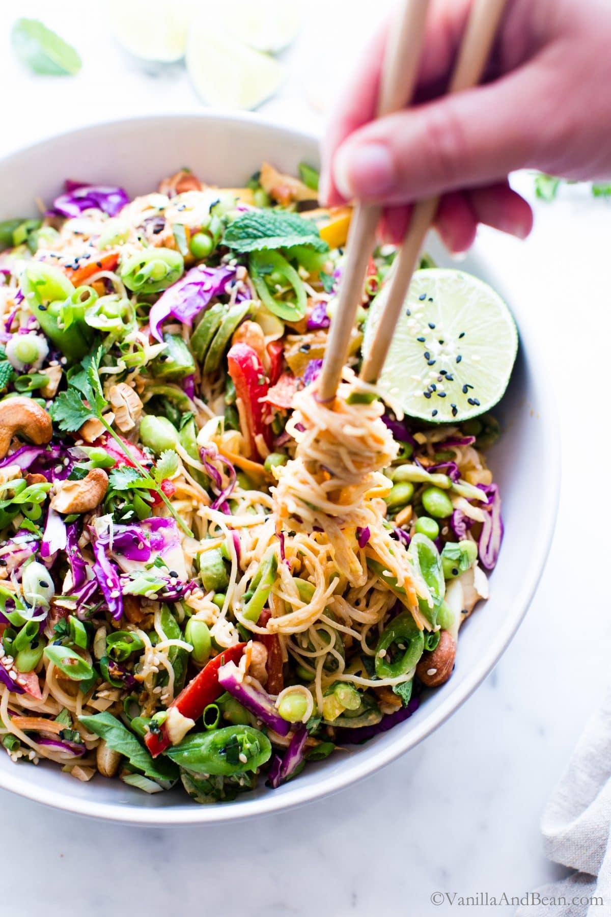 Thai Peanut Noodle Salad — Recipes