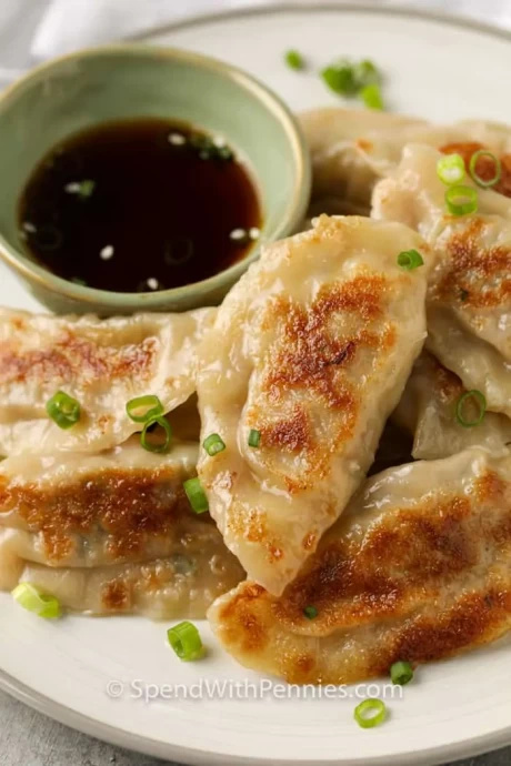 Pork Dumplings