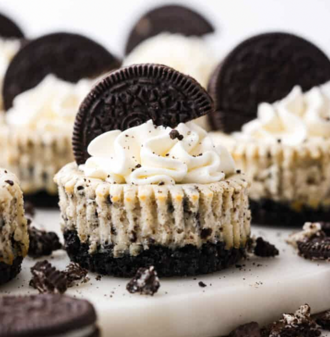 Mini Oreo Cheesecakes